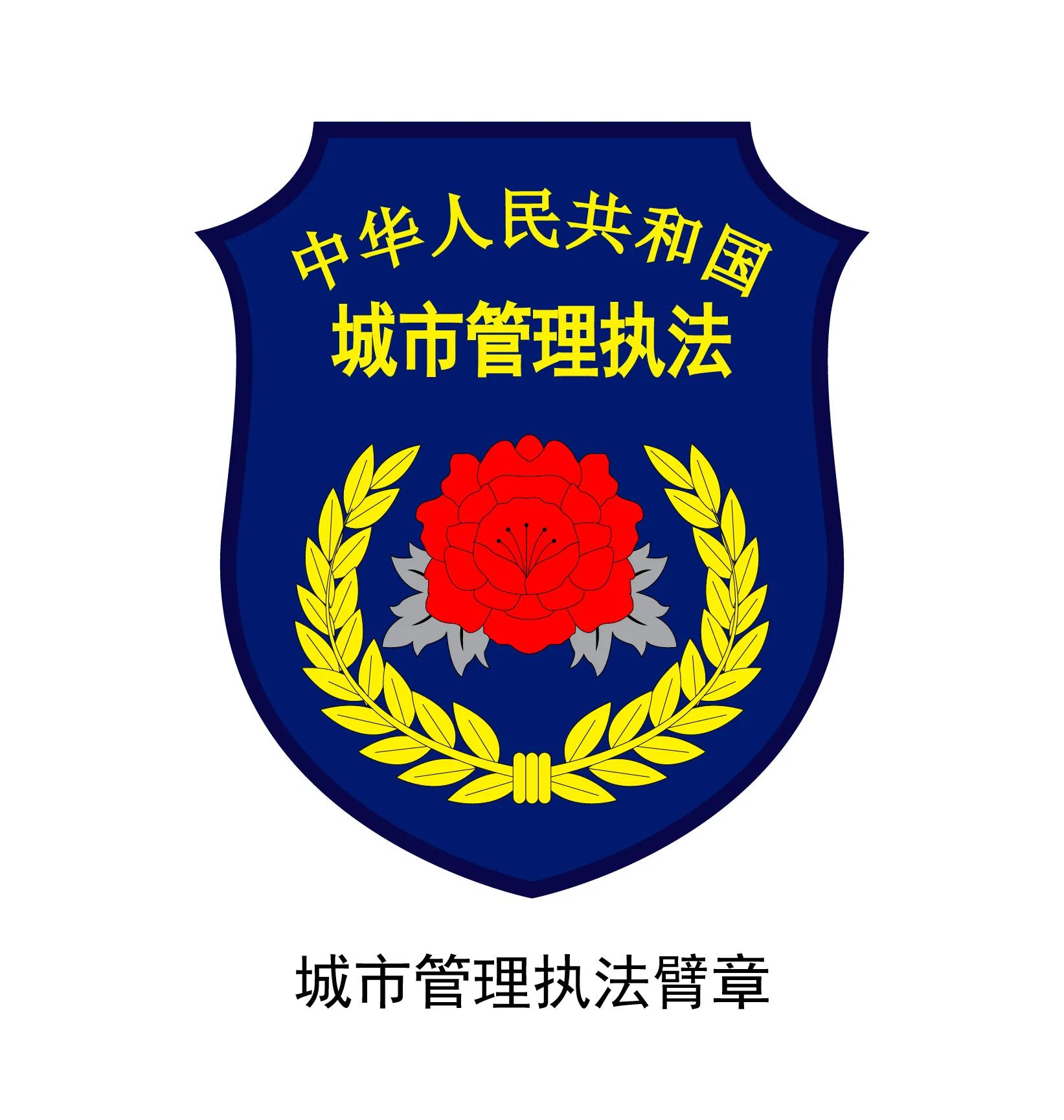 城市管理执法/综合行政执法队伍的服装标识一览