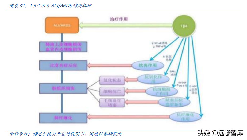 基因治疗大时代，诺思兰德：一马当先，50亿级别重磅单品价值低估