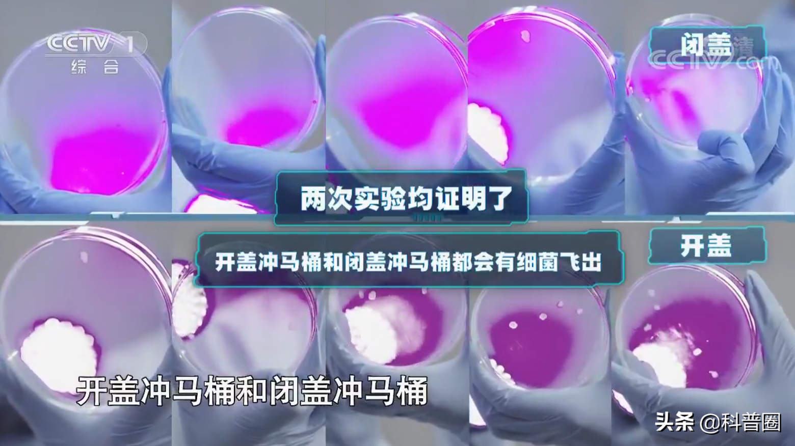 沖馬桶，蓋？還是不蓋？別糾結了，央視的一個實驗告訴你真相