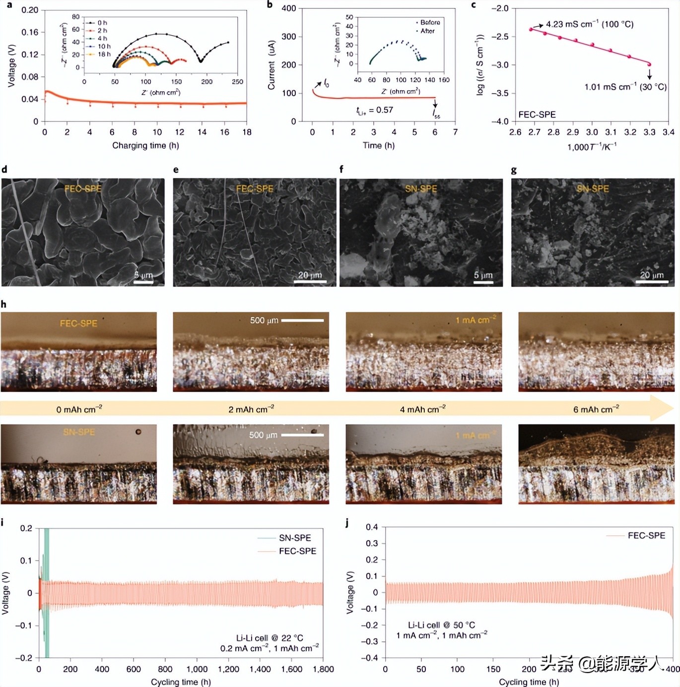 固态电池循环超2000圈！冷冻电镜揭示Li/聚合物电解质界面设计