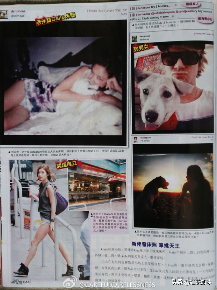 4年花光黎明7.5亿的女人，明知对象是假富豪还要嫁？她在图什么？