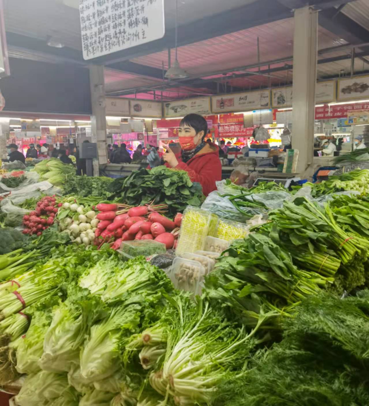 节日榆中街市场：菜丰价稳，年味浓