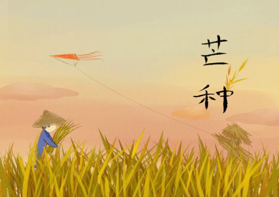 ​《红楼梦》贾宝玉有阳历生日，且是芒种这天，这里面有何玄机？