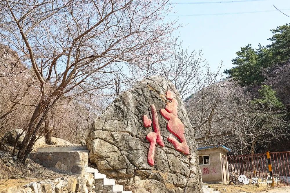 美成仙境的京郊延壽醉美公路，玩賞正當(dāng)時(shí)！