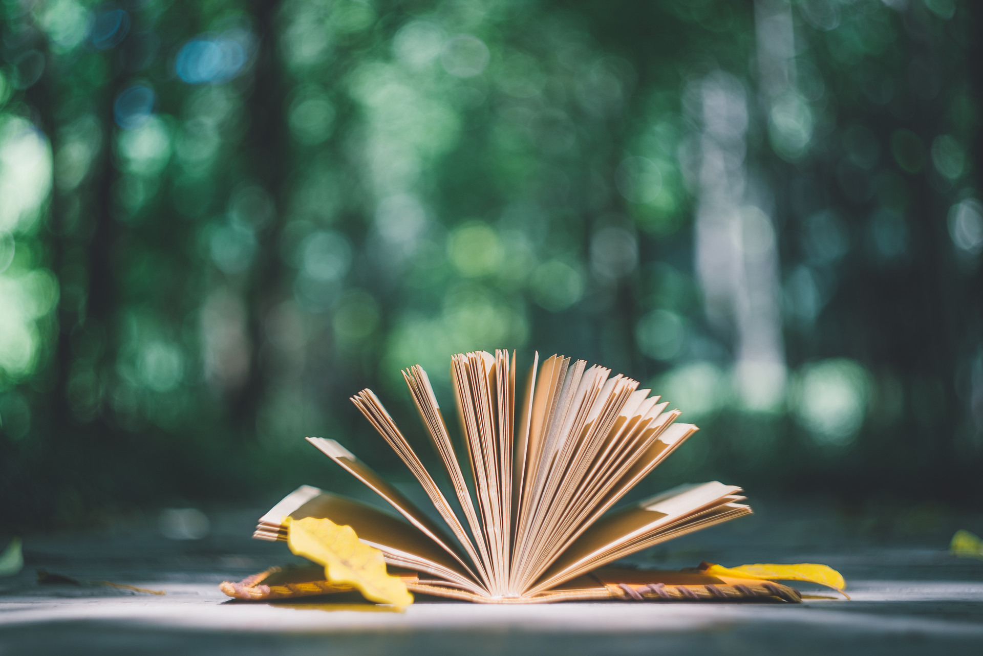 如果你朋友很少，连亲情也淡薄，坚持做这4件事余生会更好