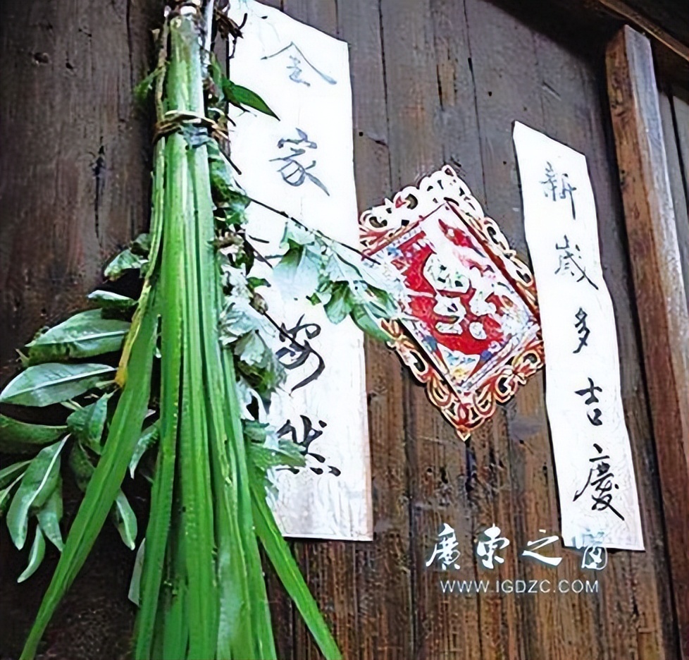 賽舟食粽千秋话 挂艾悬蒲五月风-逸云轩诗话端午