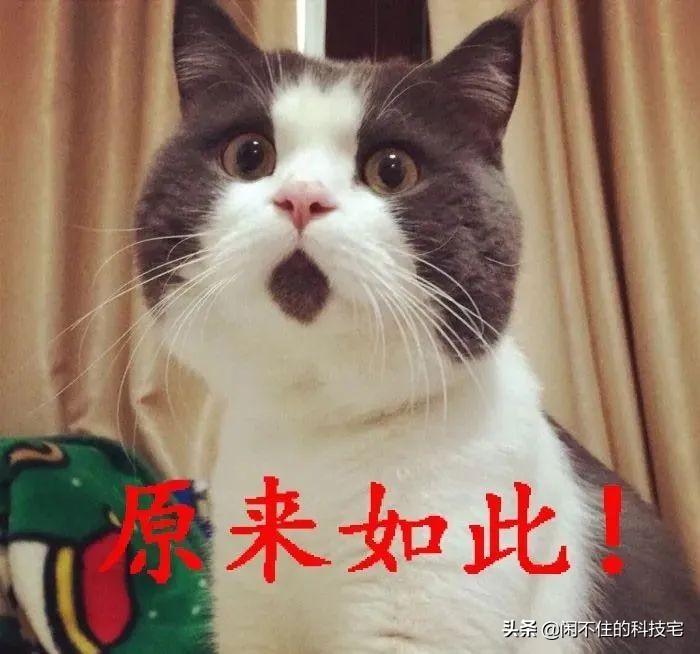 群晖安装Download Station、迅雷两神器，轻松秒变下载机