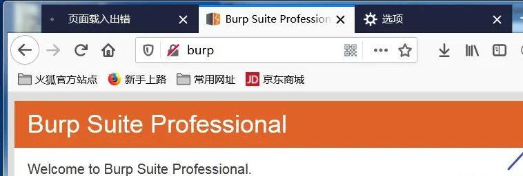 BurpSuite抓取HTTPS数据包