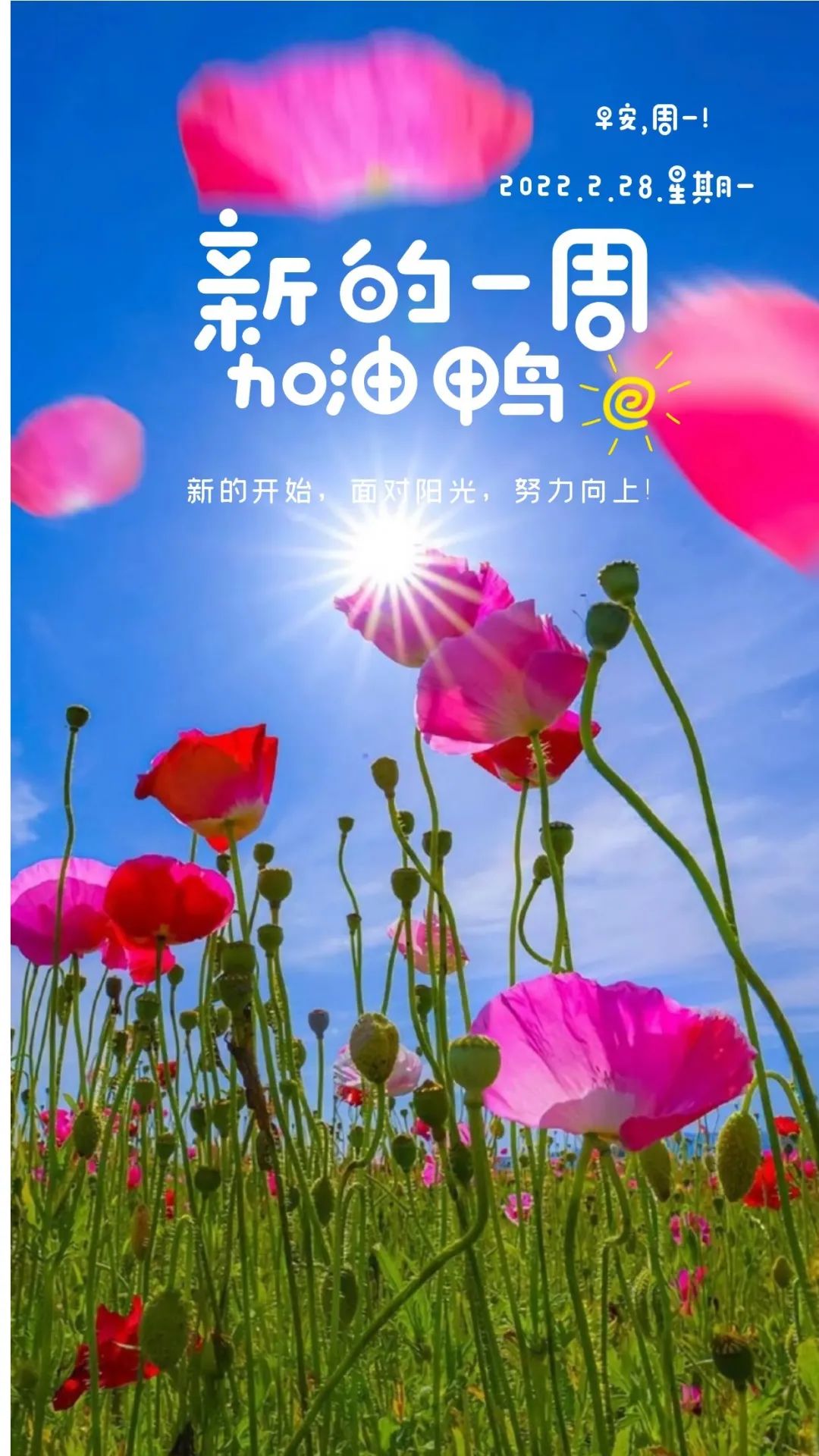 「2022.02.28」早安心语，正能量霸气语录名言，二月再见三月你好