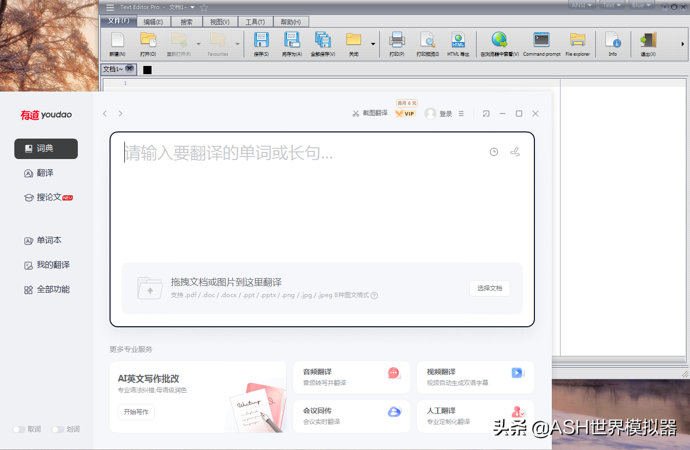 免费/开源/中文.转荐APP更新：163多语种词典 + Text Editor Pro文编