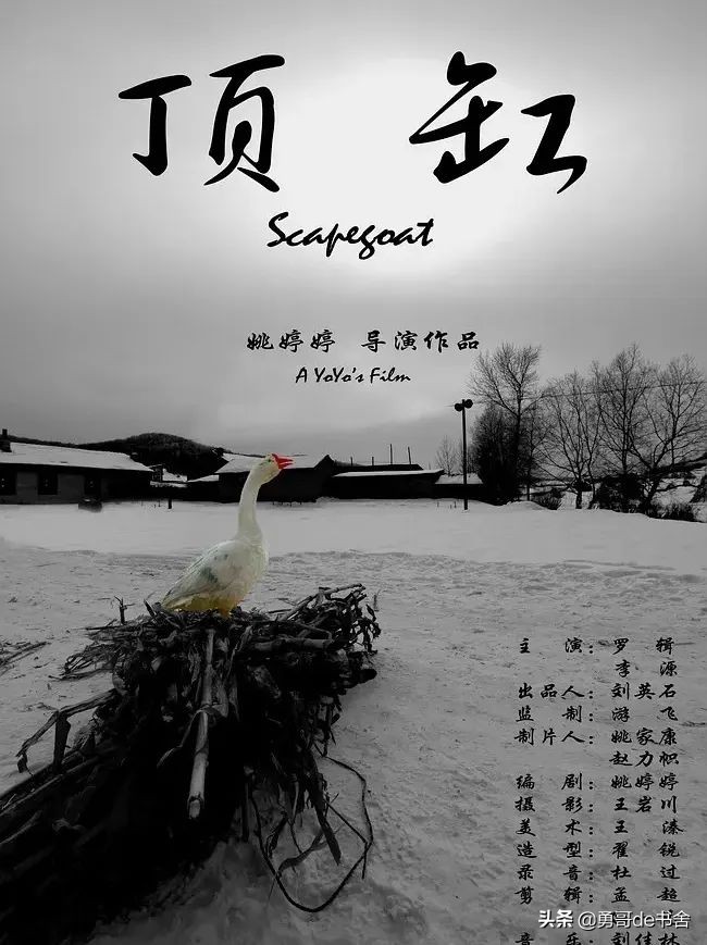 白敬亭置顶8年的微博里，藏着她的秘密