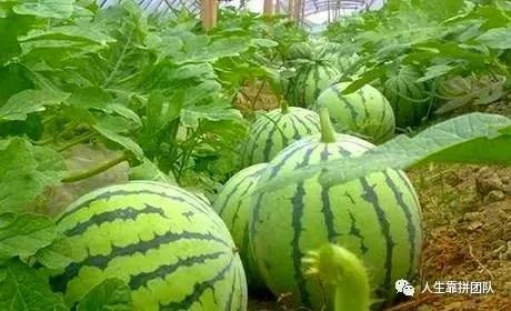 质量监督管理条例,建设工程质量监督管理条例