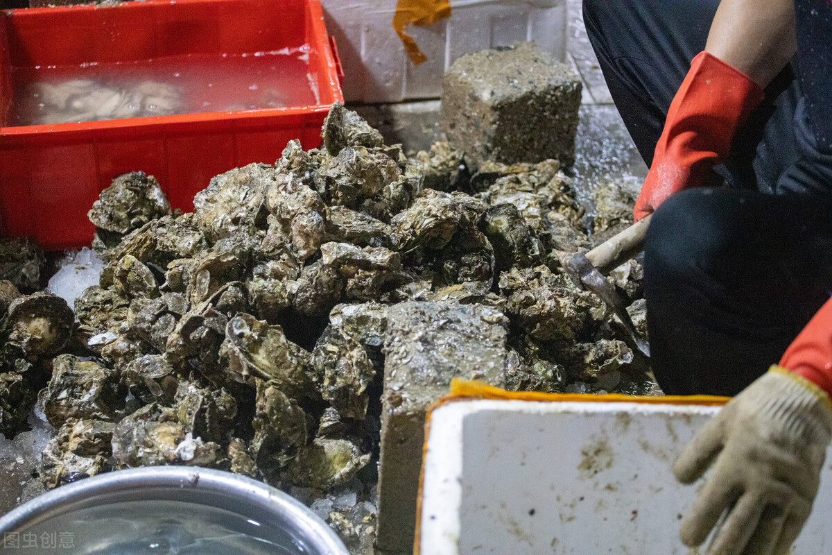 都是牡蠣，海蠣子和生蠔有何區別？弄懂再買不吃虧