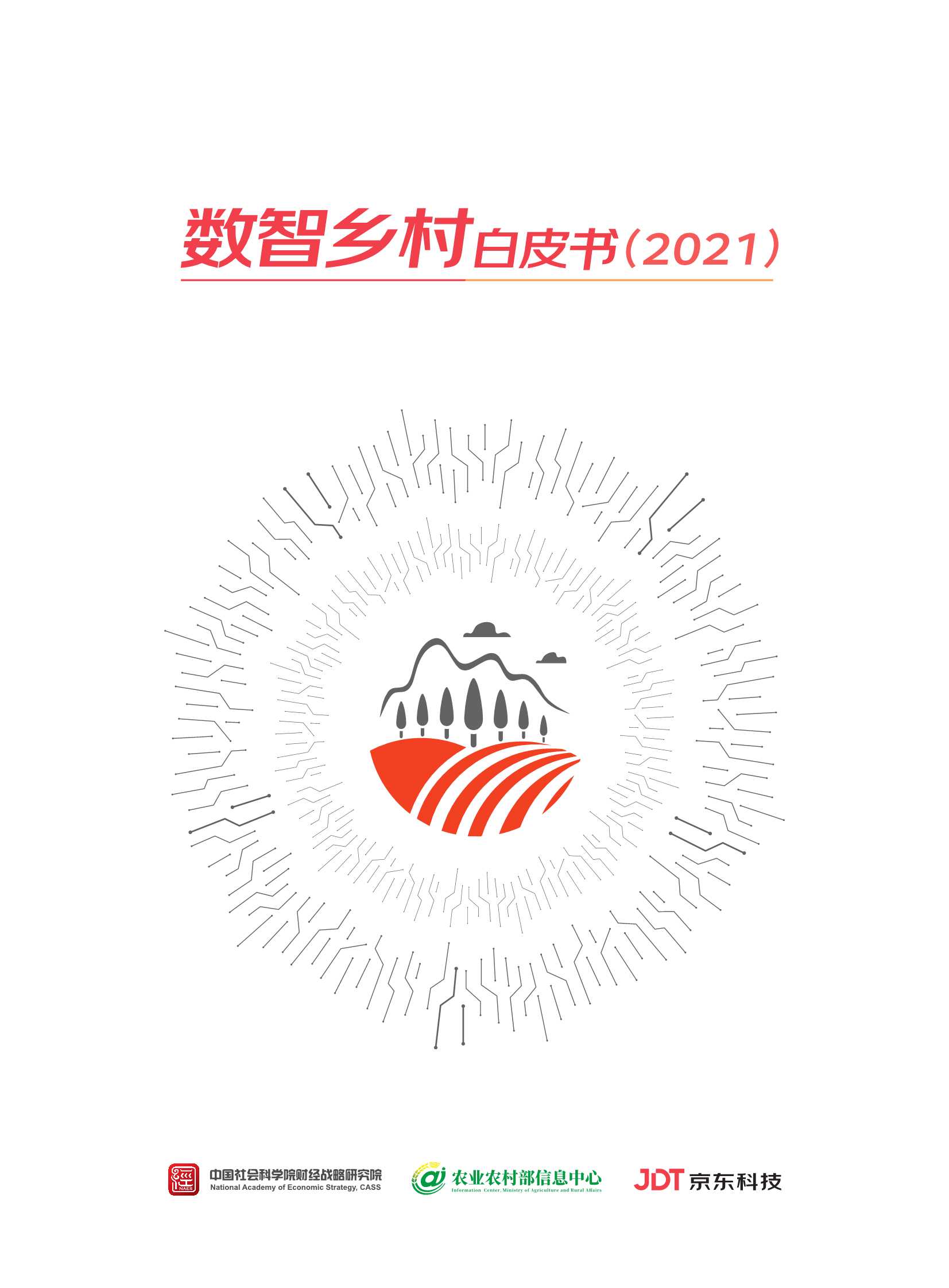 2021数智乡村白皮书（中国社科院）