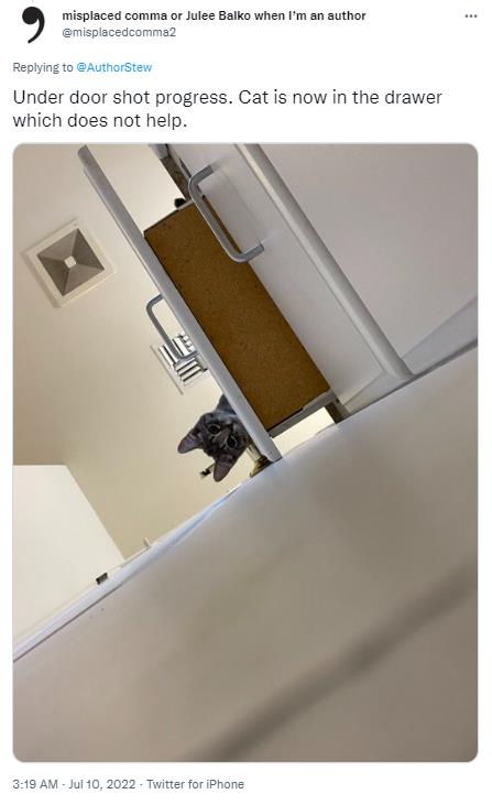 貓貓反鎖衛生間的門，鏟屎官從門縫裡，看到了哭笑不得的畫面