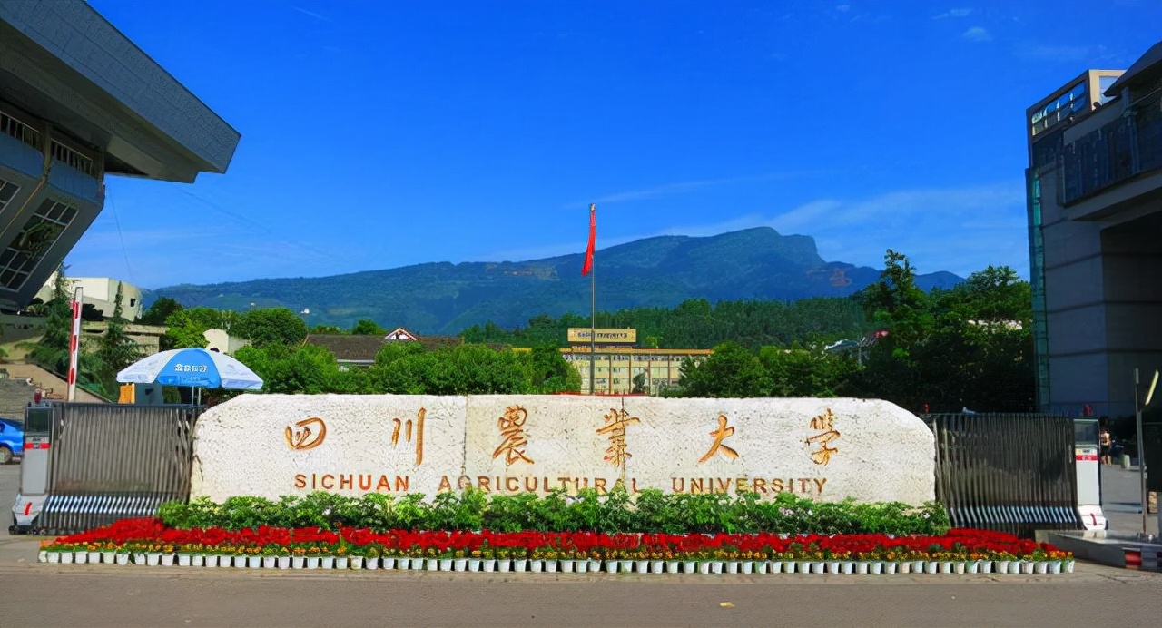 985大学有哪些学校(四川省有几所985大学)-第4张图片-专升本网