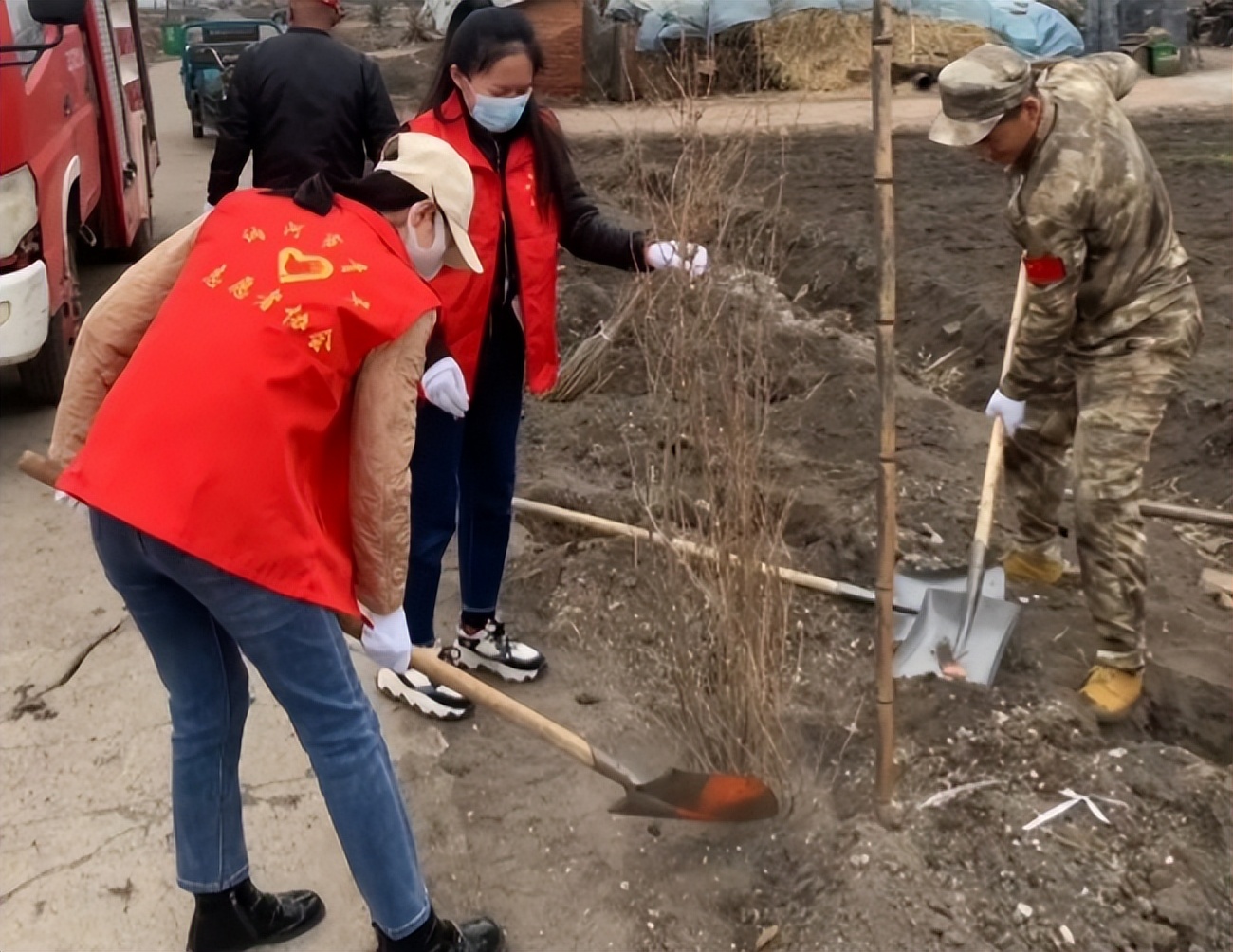 讷河市讷南镇：“春风春绿”志愿服务 共植常青树