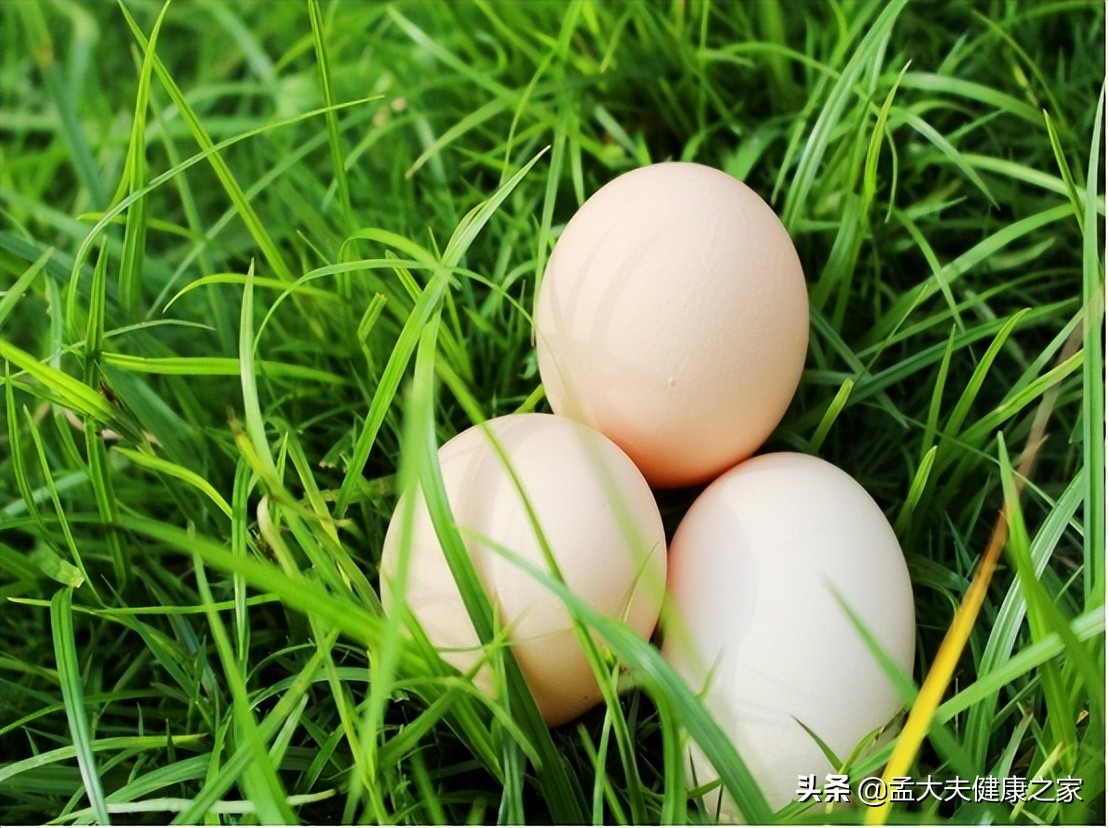 卵磷脂可預防癡呆、增強體能，建議中老年人：常吃3種高磷脂食材