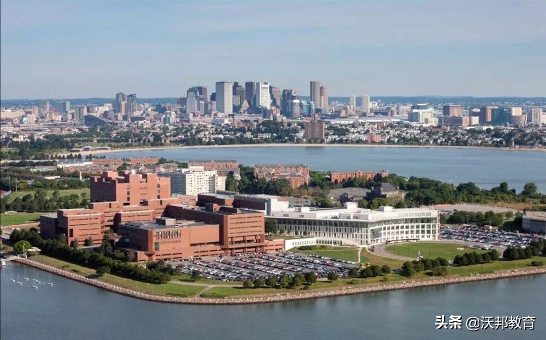 十所录取率超80%的美国大学，几乎申请就给offer