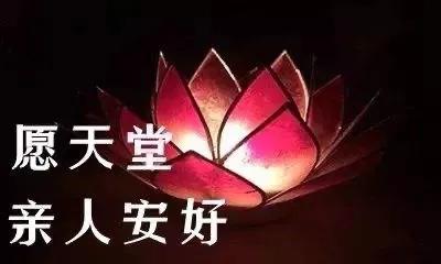 清明思念天堂的亲人，一秒泪崩的短文