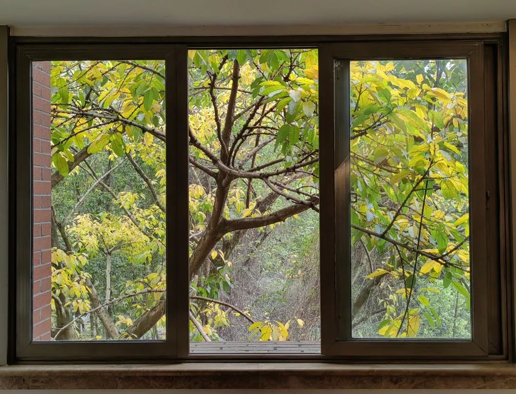 重大的春天，就是不一样