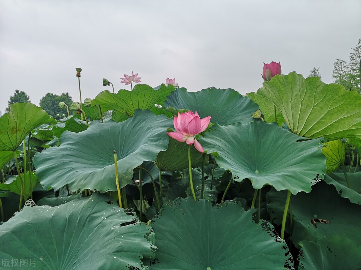 大学生暑假酒店实习报告