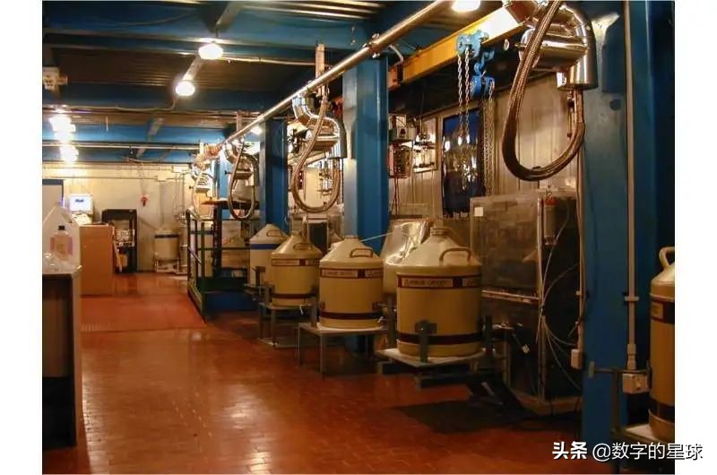 瓦解意识量子起源的主导理论