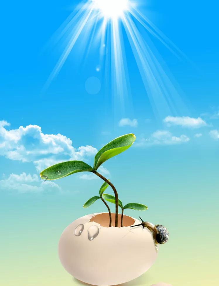 【阳光像什么?】