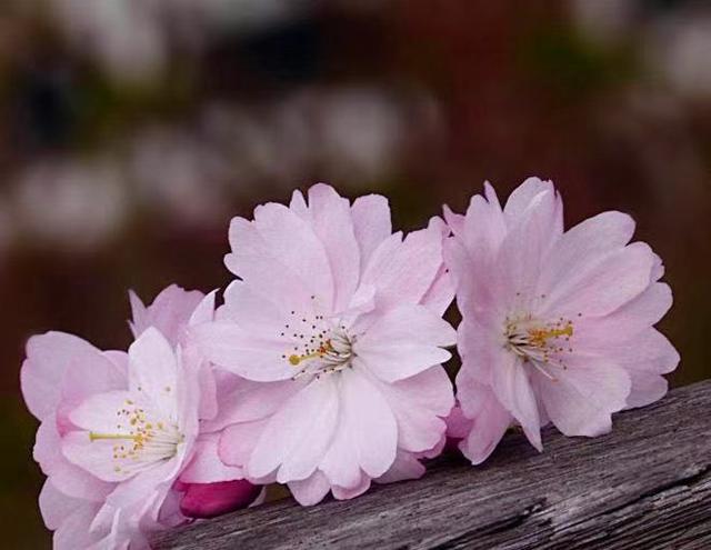 亲情的“等价交换”，最真实！别不信