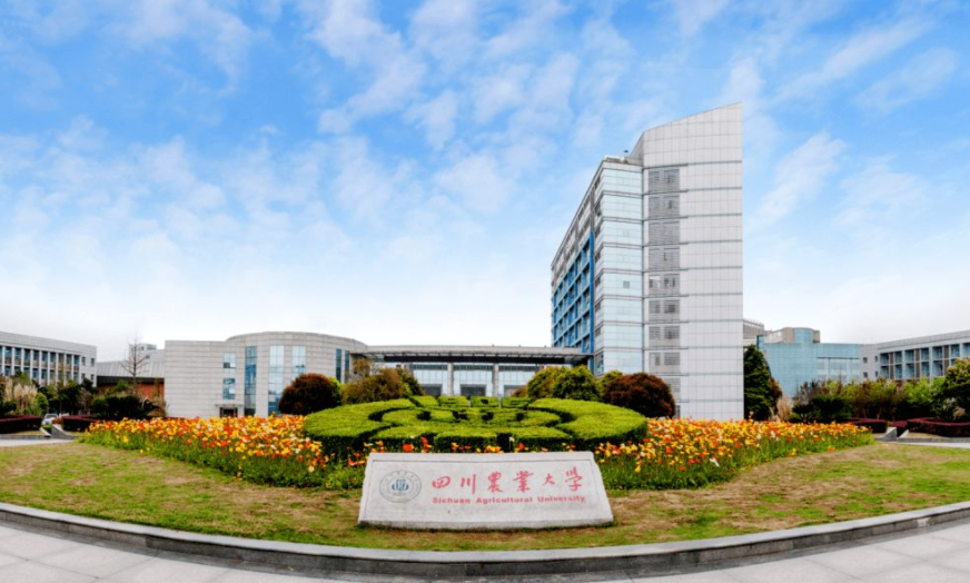 四川省高校金字塔排名已更新，川大稳居榜首位置，川农进步很迅速