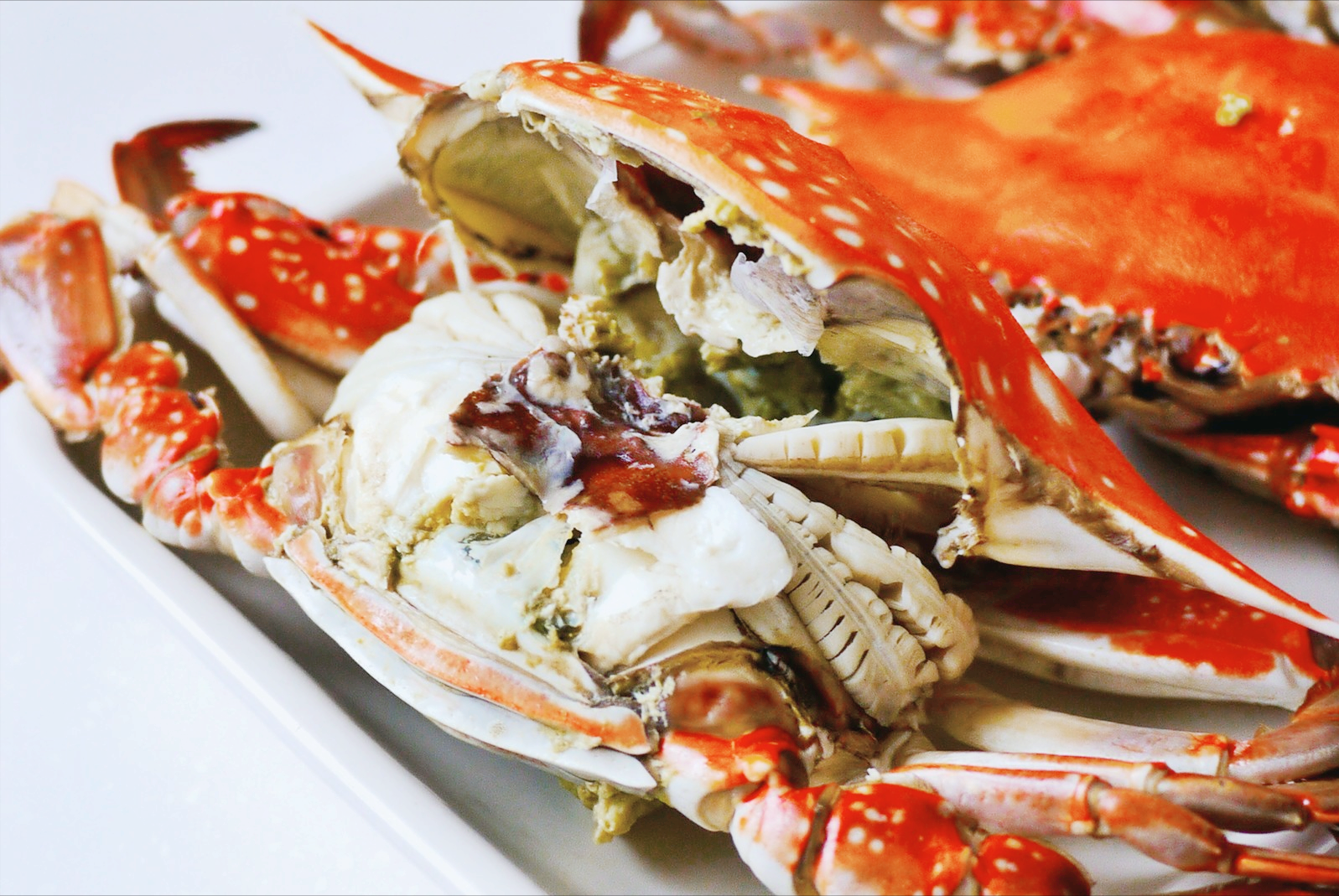 大闸蟹怎么蒸(螃蟹怎么蒸才好吃)
