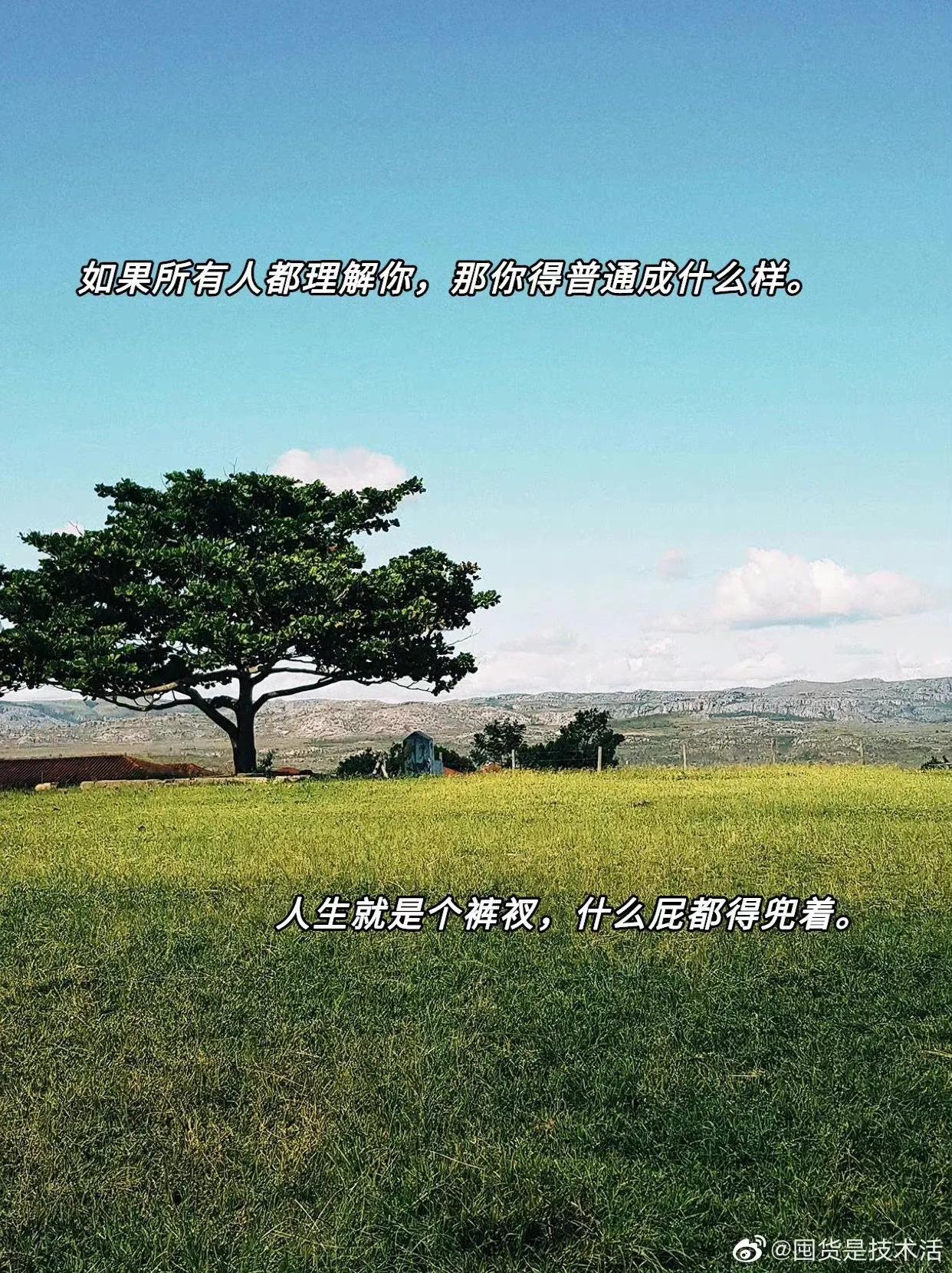 据说大张伟的嘴能救命，这谁能扛得住