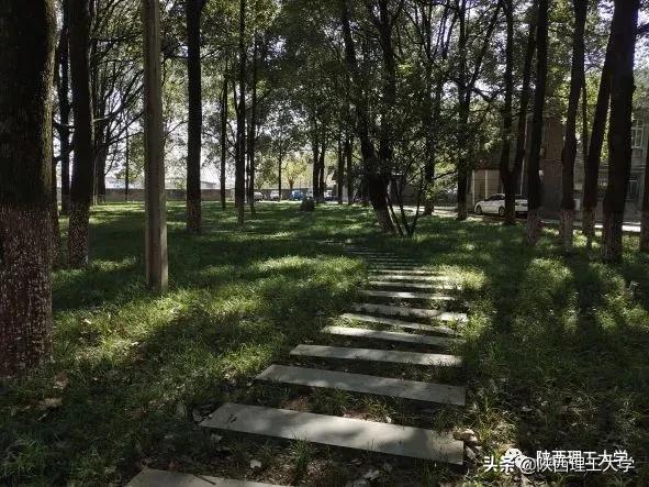 欢迎报考丨我们在陕西理工大学等你