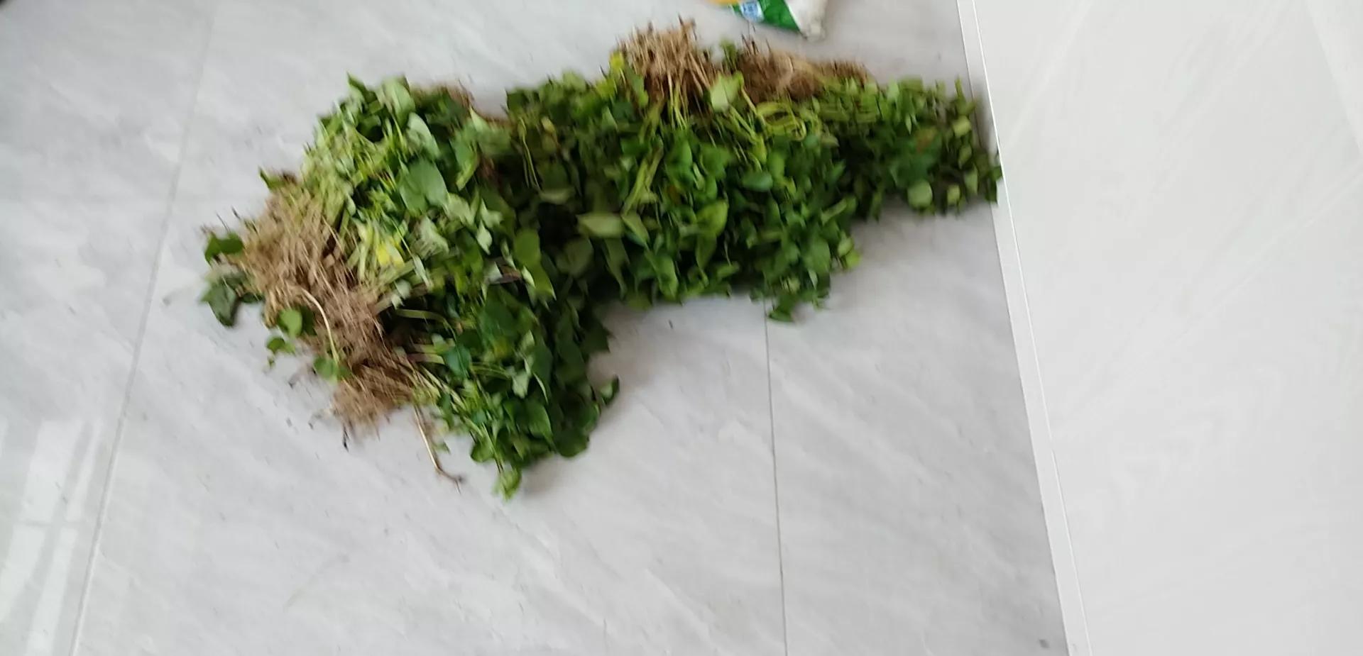 谈律师肩负展现正面形象的社会责任