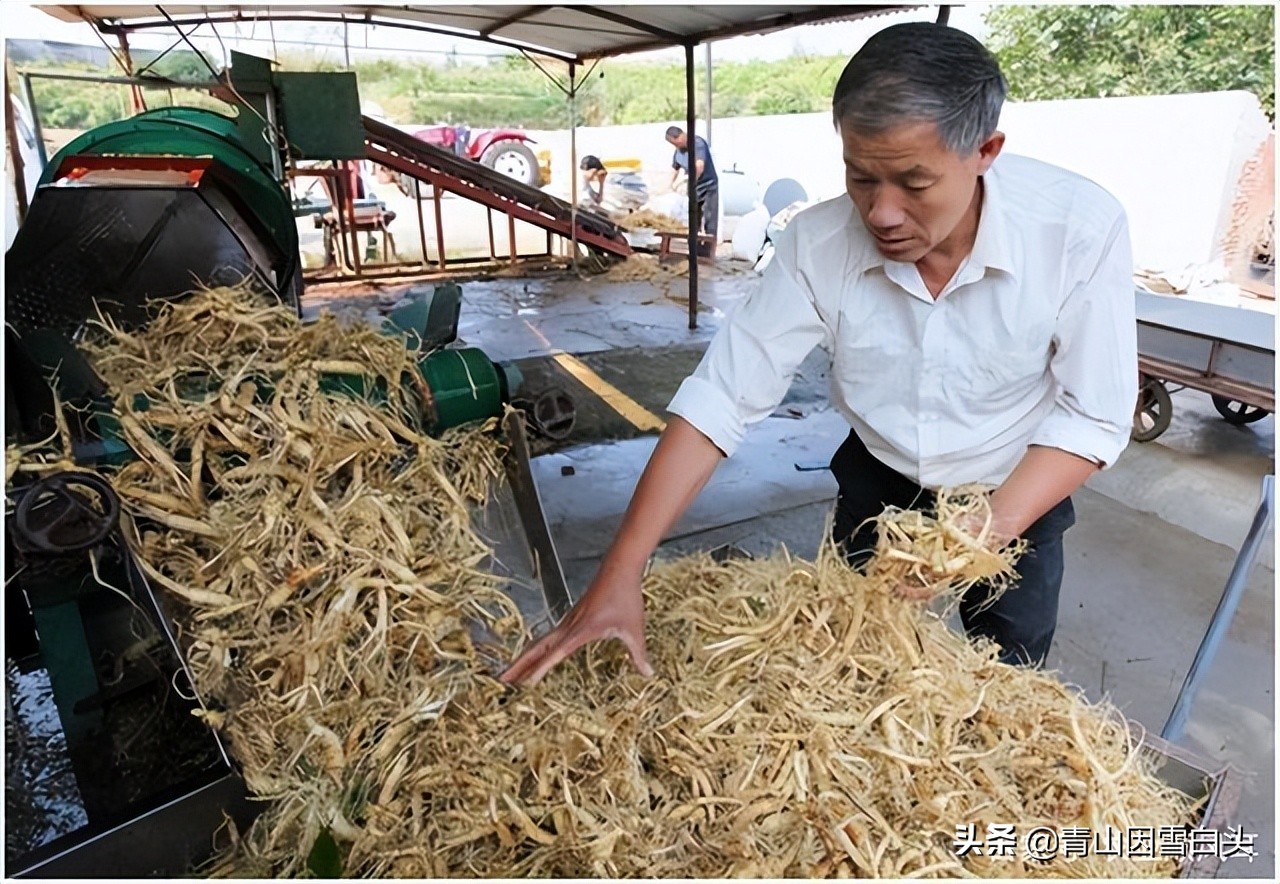 容易赔了夫人又折兵！盘点9个被网红带偏的农村创业项目