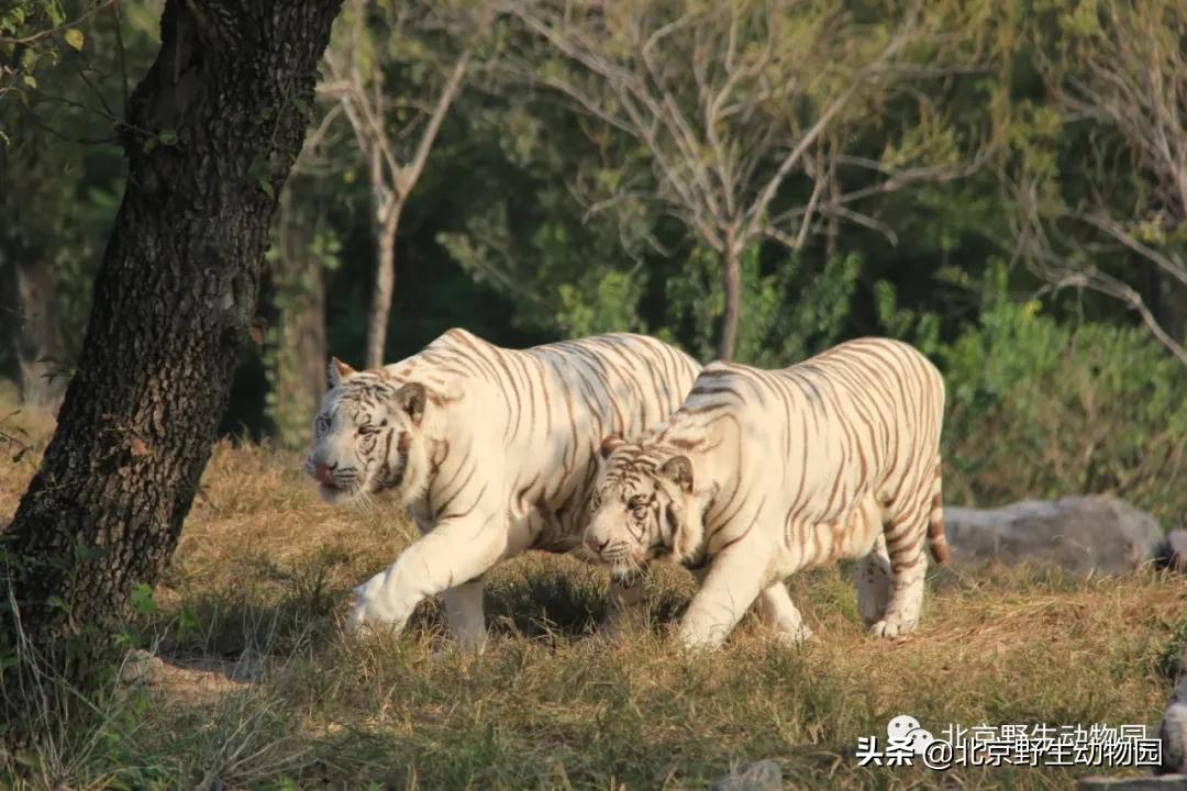 「温情时刻」定格瞬间，感受美好