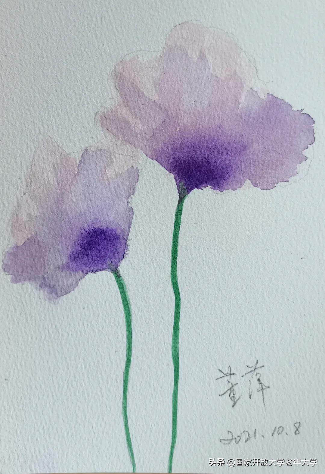 在校园·良作 | 水彩让我们的青春重新绽放——水彩画初级班学员作品