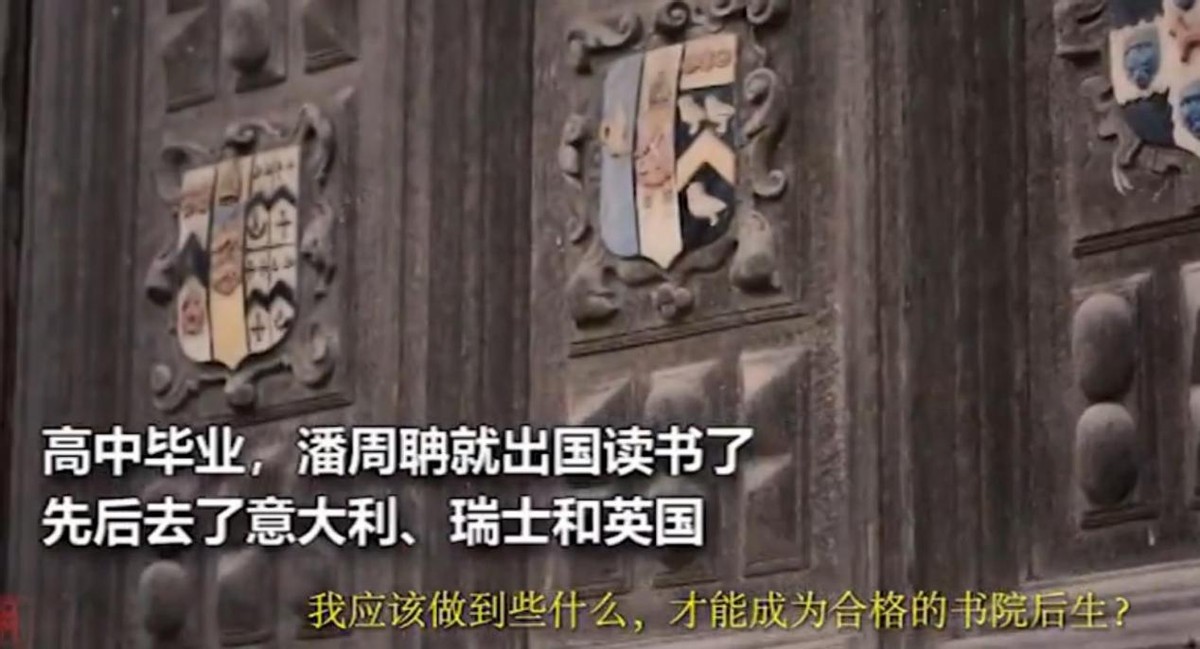 最强大脑潘周聃：因学霸式起身爆红全网，爱因斯坦是他大学校友