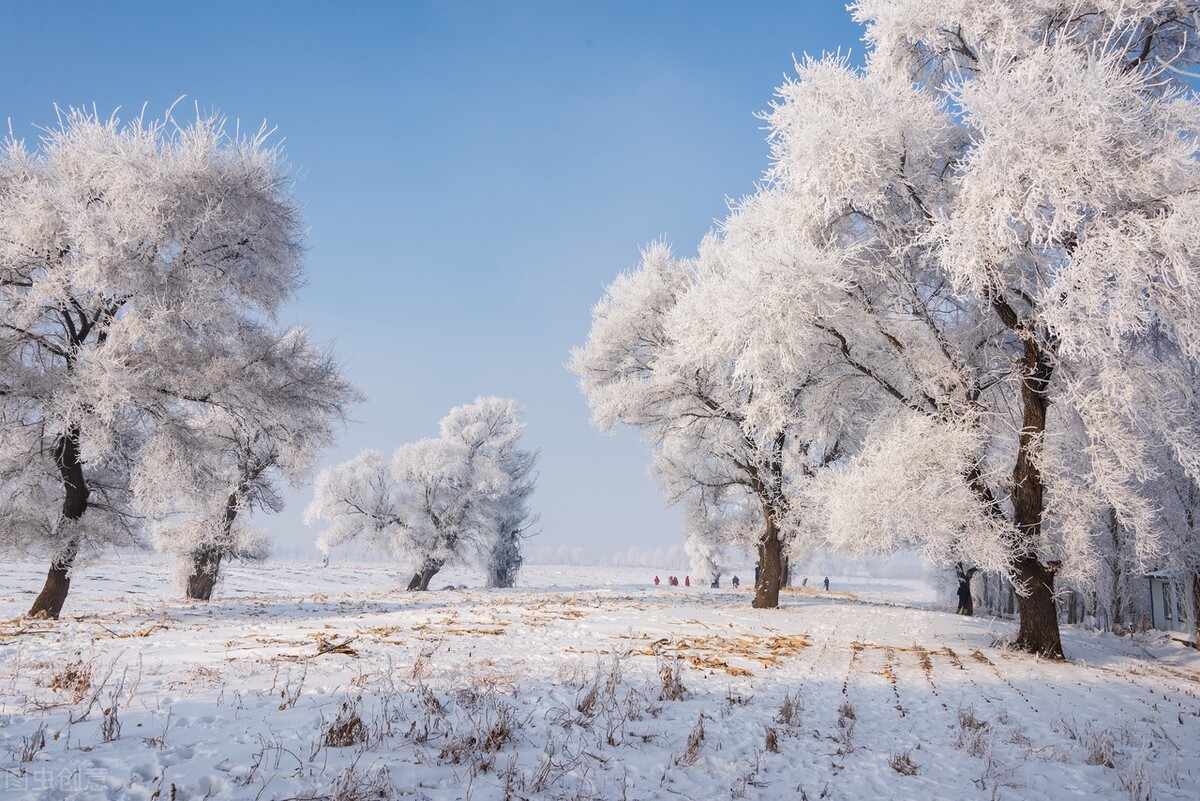 童话世界般的雪乡真的是太美了，一定要打卡国内最美8大雪乡插图32