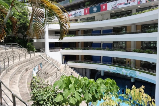 涉外经济学校小姐在哪（聊聊以香港国际学校为首的神校）