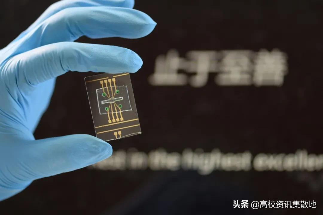 国立东南大学（止于至善）