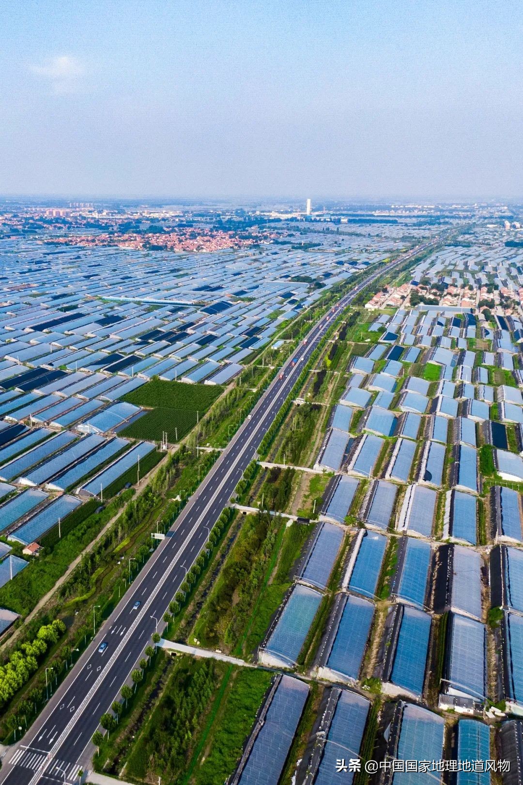 助力蔬菜自由，山东、河南、河北、江苏四省，种菜到底有多猛？