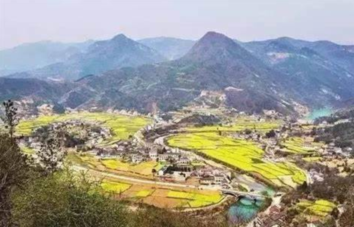 女大学生失踪12年后，她出现在母校废弃房……