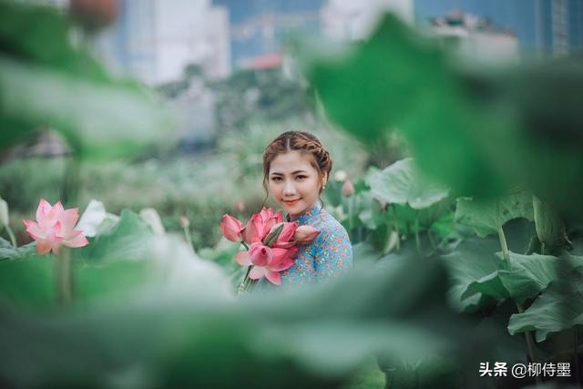 荷花盛開正當時，人像攝影怎么拍？4個要點拍出清新優(yōu)雅美
