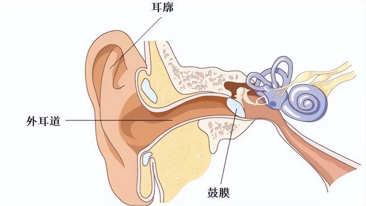 耳朵里面經常癢，卻啥也掏不出來？這是為什么？醫生揭曉答案