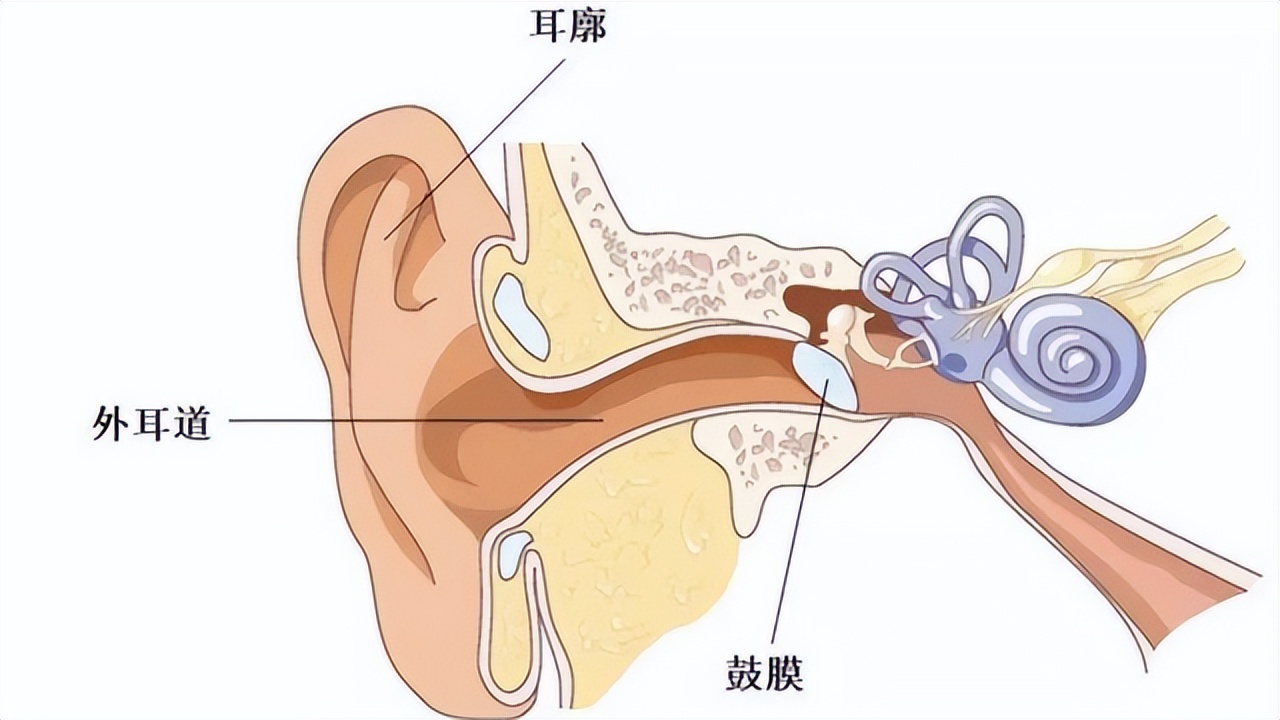 耳朵里面经常痒，却啥也掏不出来？这是为什么？医生揭晓答案