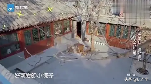 爆了、凉了、绿了、糊了？7年后再看黄晓明的明星伴郎团，真魔幻