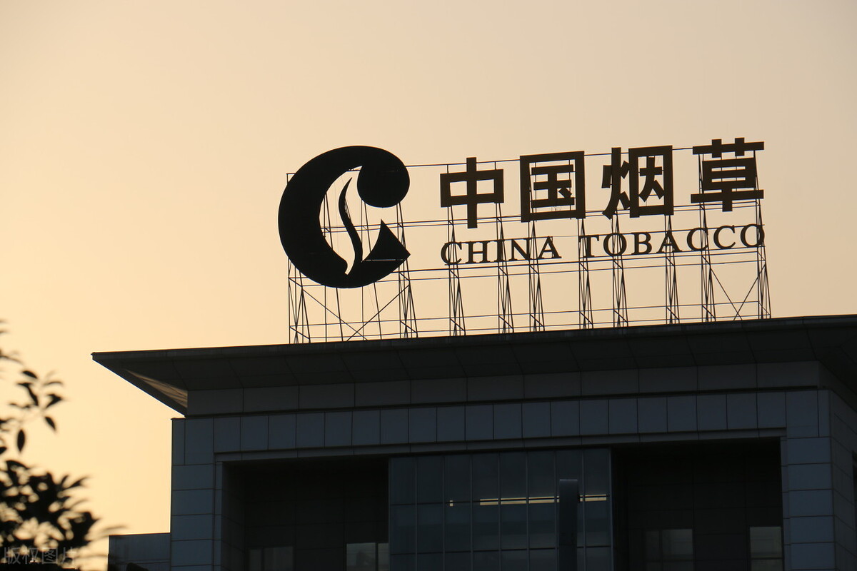 我，985本科生，入職省會城市的煙草公司，透露真實的薪資待遇