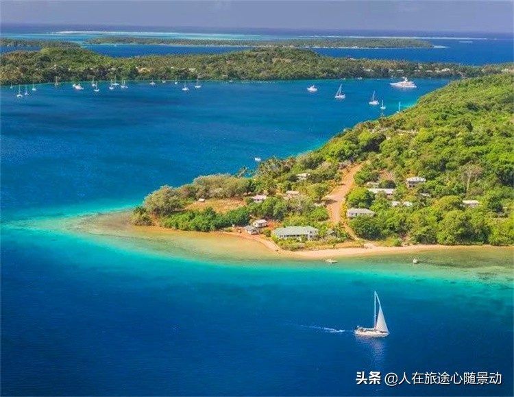 太平洋島國湯加:一個以胖為美,與鯨魚嬉戲的國家