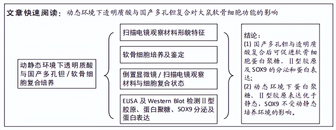 动态培养环境下透明质酸与国产多孔钽复合对软骨细胞功能的影响